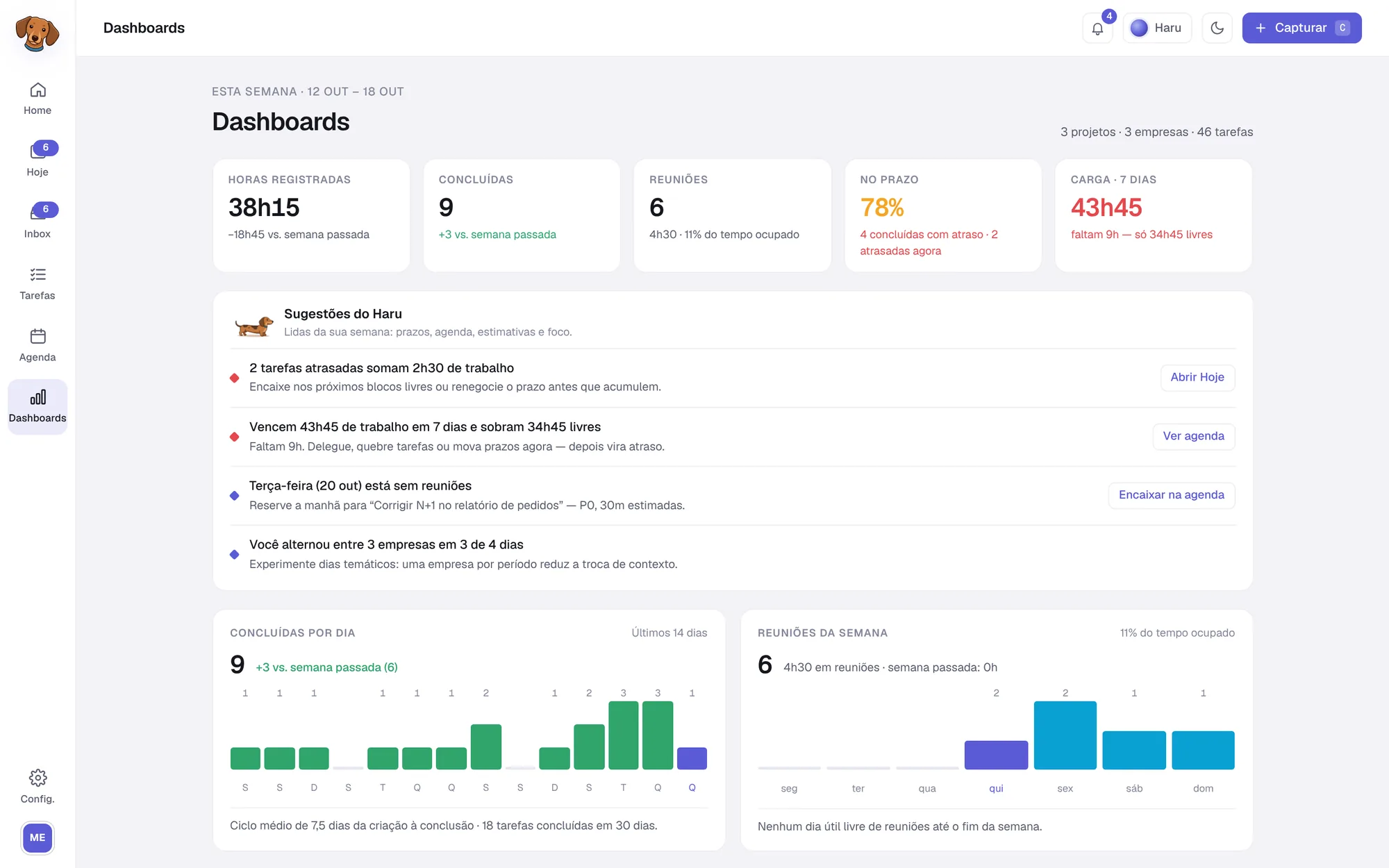 Dashboards do Haru, tema claro, com o tempo da semana por projeto e indicadores